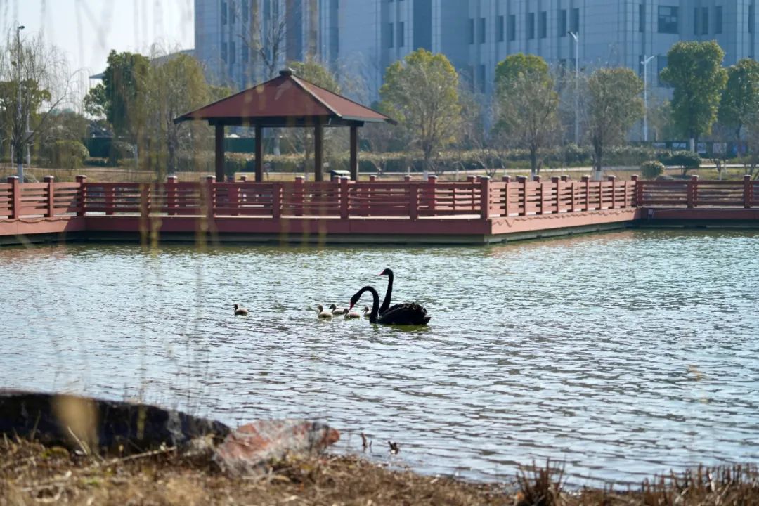 微信图片_20230301094015