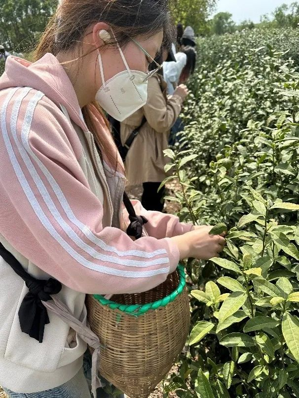 图片6_93726图片6