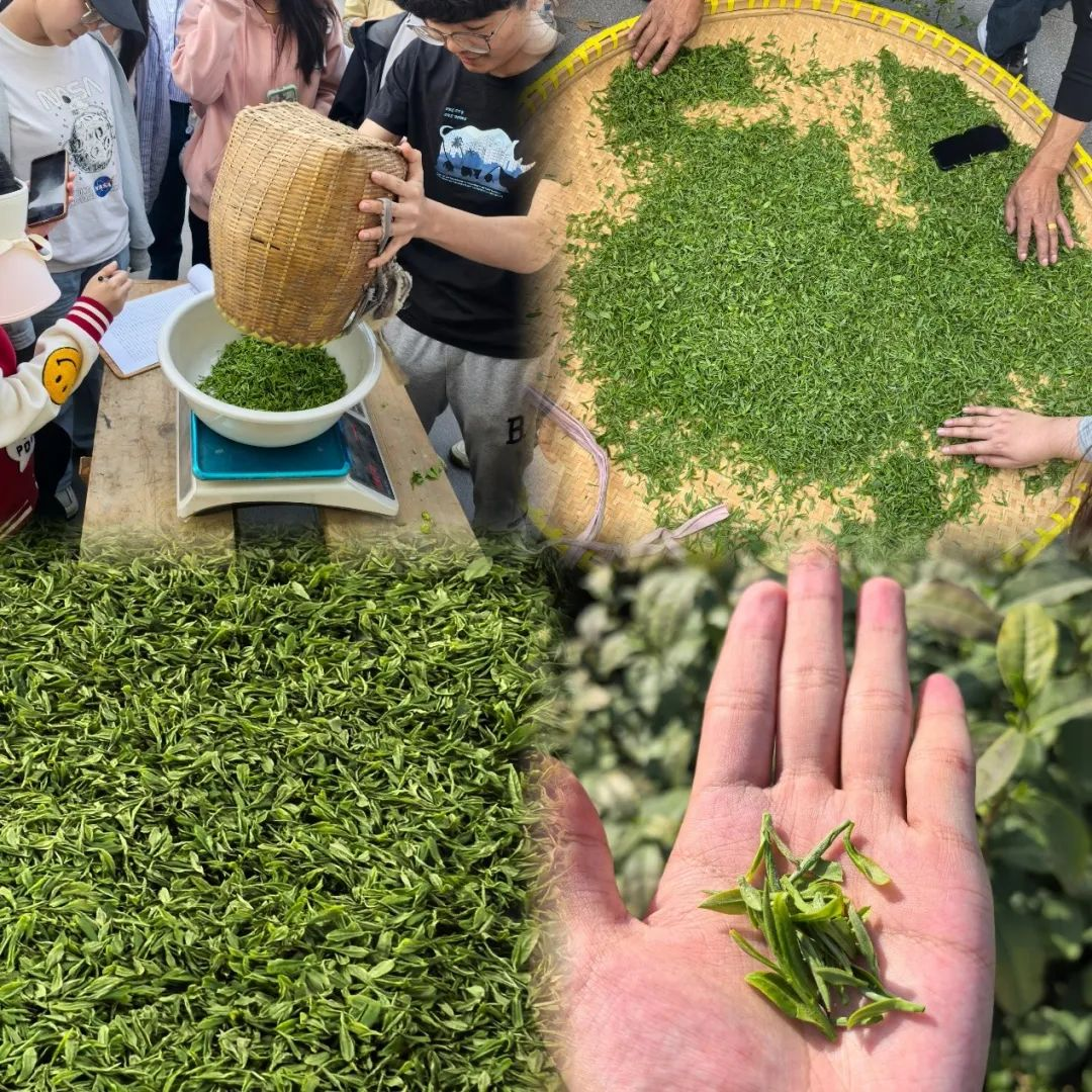 图片3_41538图片3